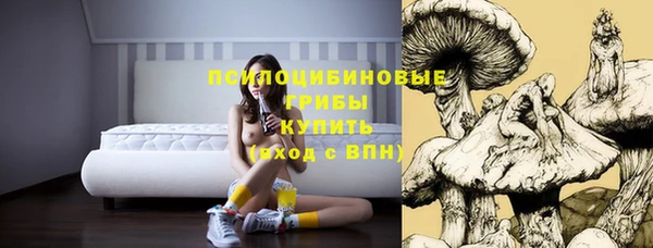 гидропоника Корсаков