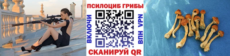 Галлюциногенные грибы мухоморы  Купить где  Валуйки 