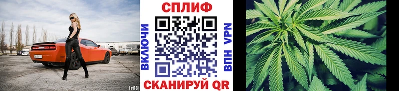 Купить  Валуйки  Бошки Шишки ГИДРОПОН 